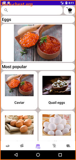 Healthy Food screenshot