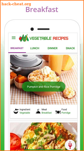 Healthy Vegetable Recipes screenshot