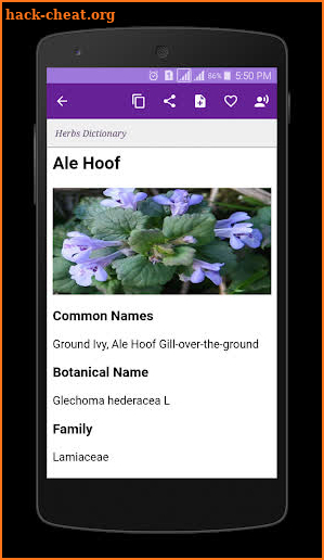 Herbs Dictionary screenshot