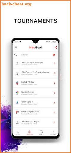 Hesgoal screenshot