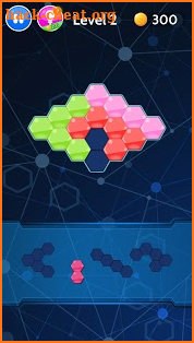 Hexa Block Puzzledom screenshot