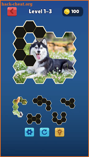 Hexa Jigsaw Collection HD screenshot