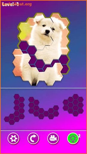 Hexa Jigsaw - Dogs jigsaw puzzle game screenshot