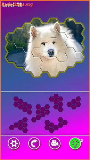 Hexa Jigsaw - Dogs jigsaw puzzle game screenshot