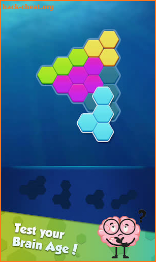 Hexa Puzzle: Triangle Block screenshot