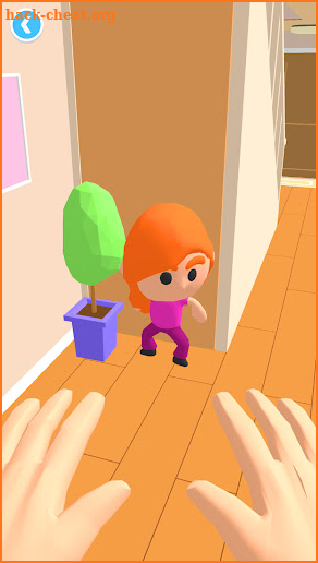 Hide N' Seek 3D screenshot