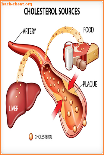 high cholesterol levels screenshot