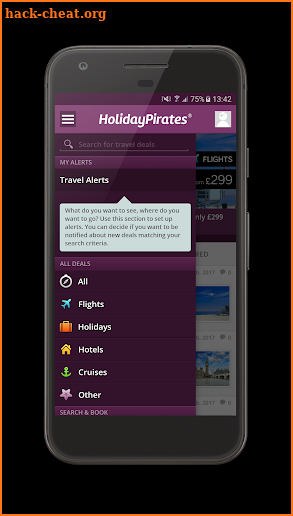 HolidayPirates screenshot