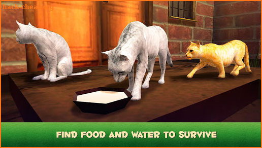 Home Cat Survival Simulator 3D screenshot