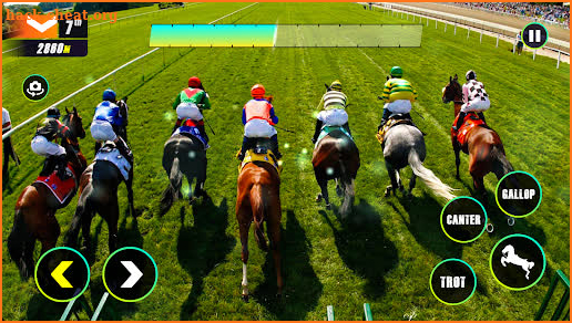 Horse Championship screenshot