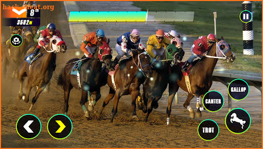 Horse Championship screenshot