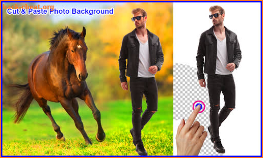 Horse Photo Frames screenshot