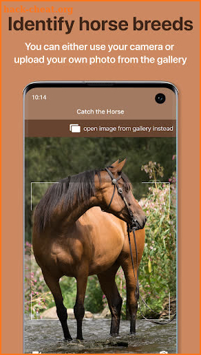 Horse Scanner – Horse Breed Identification screenshot