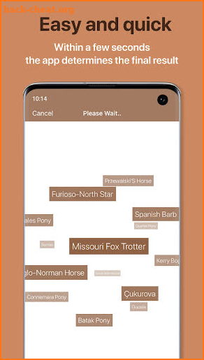 Horse Scanner – Horse Breed Identification screenshot