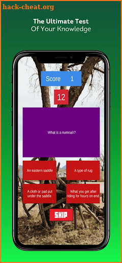 Horse Trivia Quiz screenshot