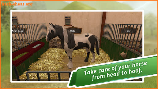 Horse World Premium – Play with horses screenshot