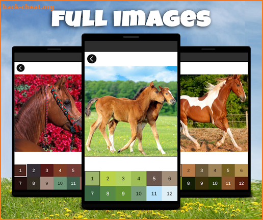 Horses Pixel Art: Pony Color By Number Game screenshot