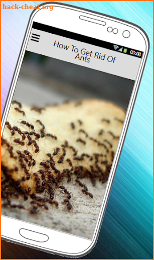 HOW TO GET RID OF ANTS screenshot