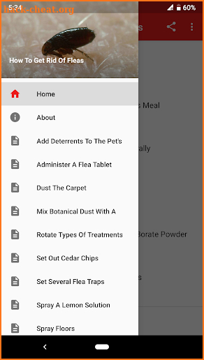 How To Get Rid Of Fleas screenshot
