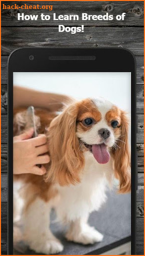 How to Learn Breeds of Dogs screenshot