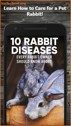 How to Take Care of a Pet Rabbit screenshot