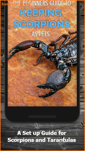 How to Take Care of a Pet Tarantula or Scorpion screenshot