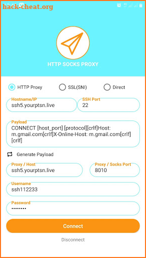 HTTP SOCKS PROXY Tunnel screenshot