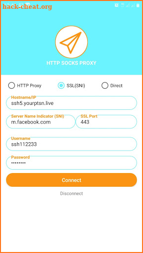 HTTP SOCKS PROXY Tunnel screenshot