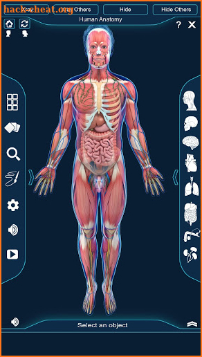 Human Anatomy screenshot