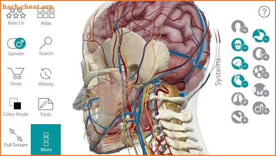 Human Anatomy Atlas screenshot