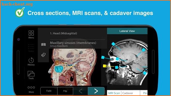 Human Anatomy Atlas 2017 screenshot