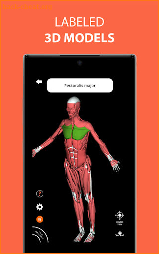 Human Anatomy Learning - 3D screenshot