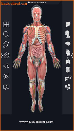 Human Anatomy Pro screenshot