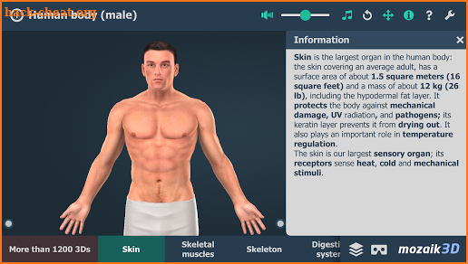 Human body (male) educational VR 3D screenshot