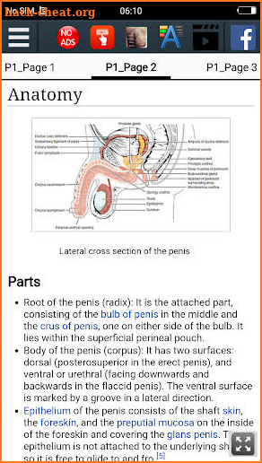 Human Penis : Educational App screenshot