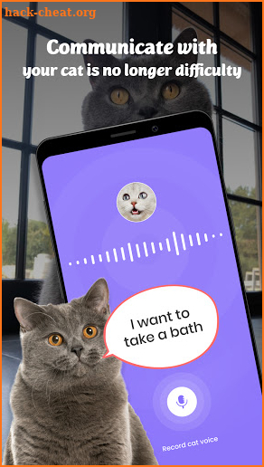 Human-to-cat translator: real cat sounds, cat app screenshot