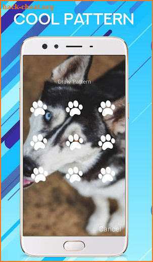 Husky Puppy Dogs Wallpaper Pin Pattern Lock Screen screenshot