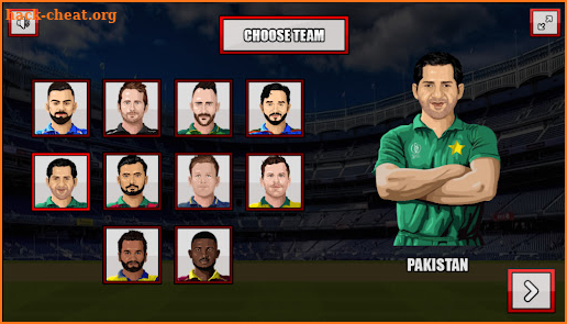 ICC-T20: Cricket World Cup screenshot