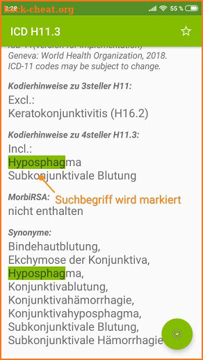 ICD 10 / 11 Diagnosen screenshot