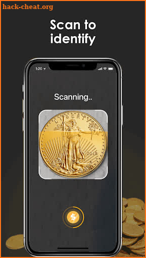 iCoin - Identify Coins Value screenshot