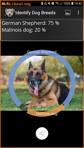 Identify Dog Breeds screenshot