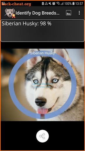 Identify Dog Breeds Pro screenshot