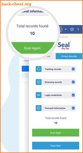 IDSeal Privacy Browser screenshot