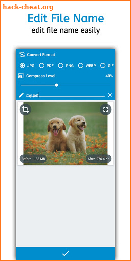 Image Converter Pro - PNG/JPG/JPEG screenshot