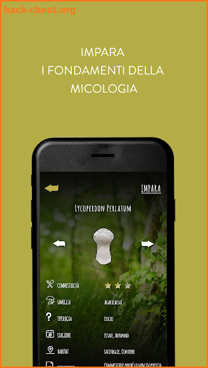 iMico screenshot