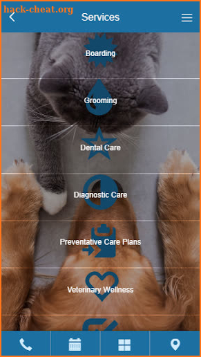 Imperial Animal Hospital LLC screenshot