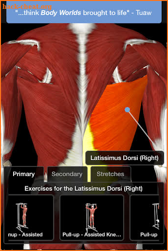 iMuscle 2 screenshot