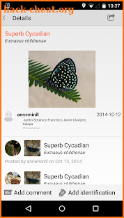 iNaturalist screenshot