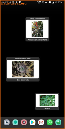 Indoor Plant Widget screenshot