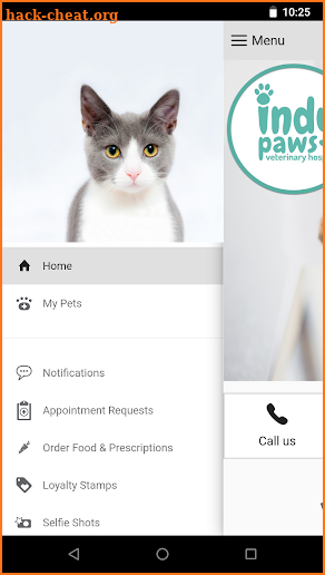 Indy Paws Vet screenshot